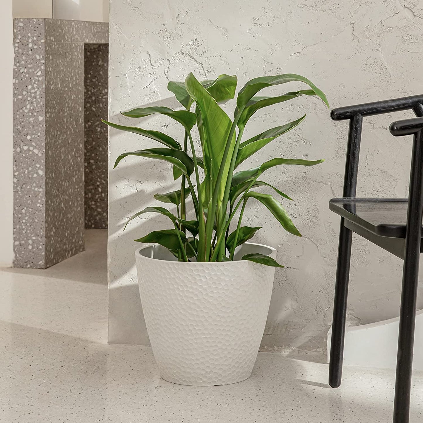 Outdoor/Indoor Tree Planters