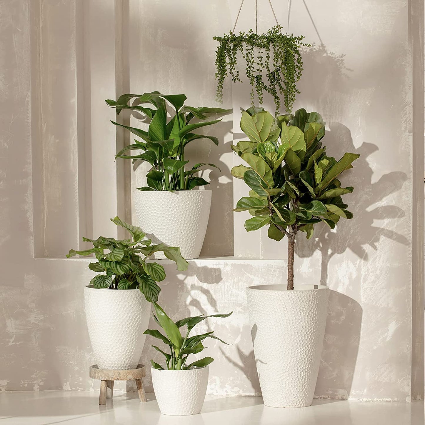 Outdoor/Indoor Tree Planters