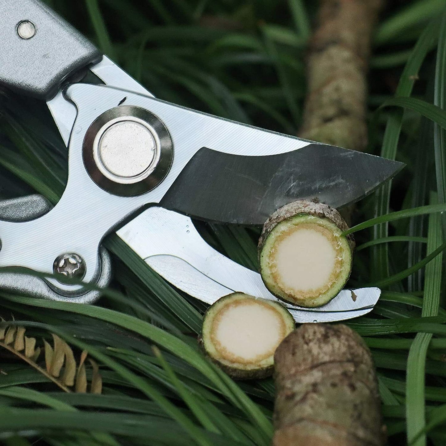 3PCS Pruning Shears