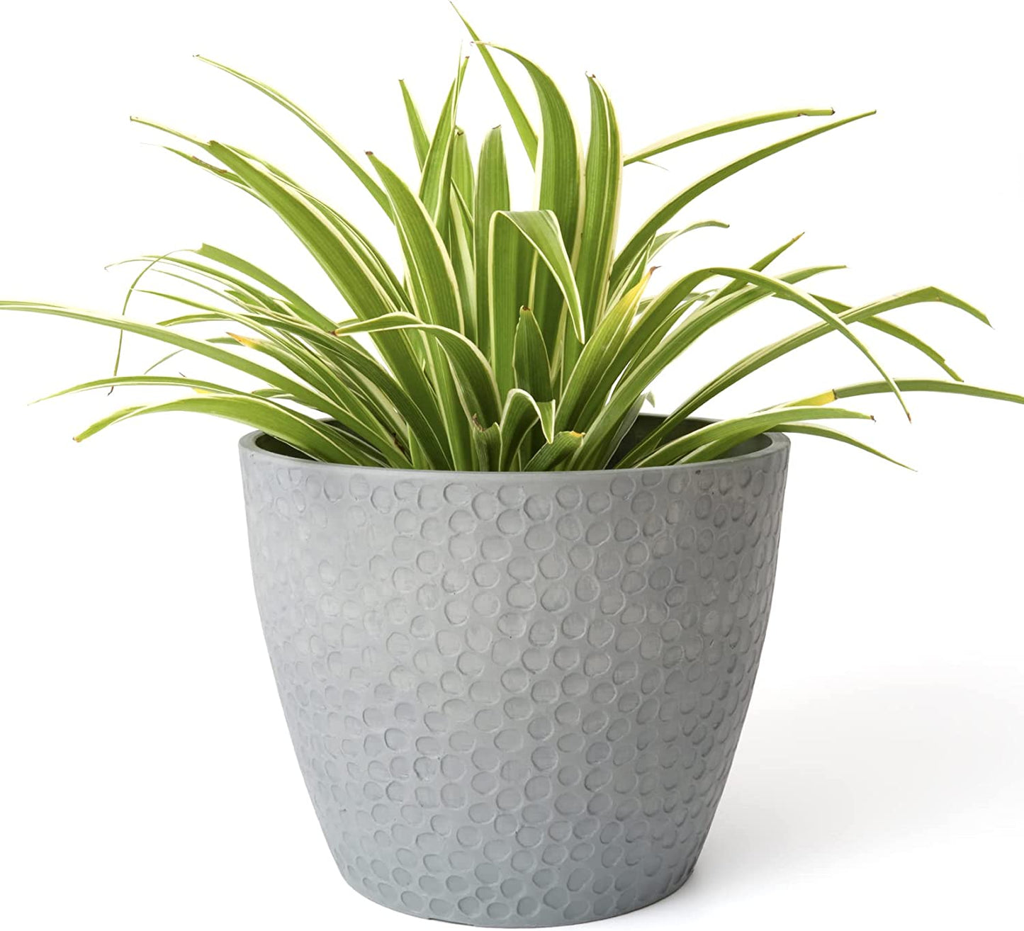 Outdoor/Indoor Tree Planters