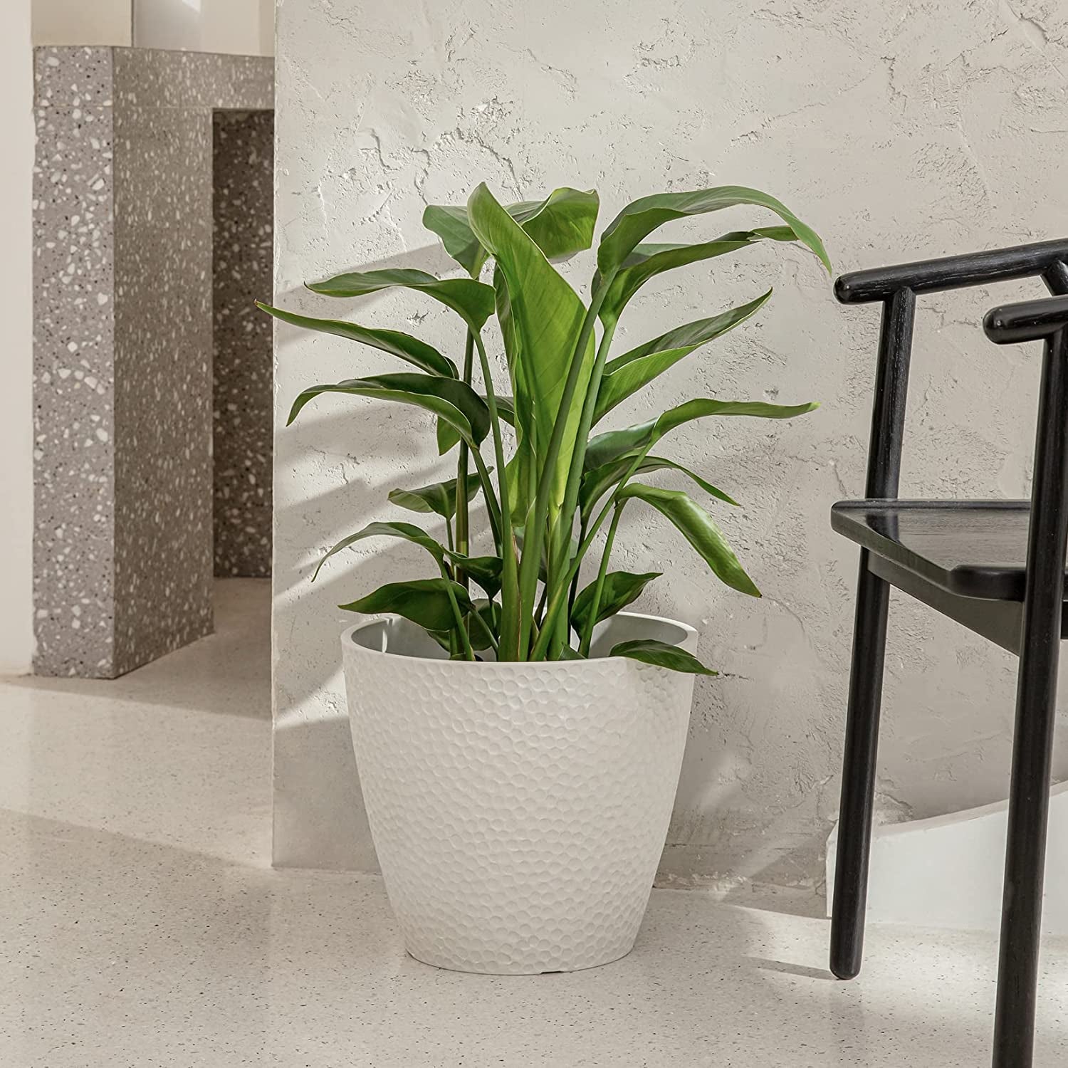 Outdoor/Indoor Tree Planters