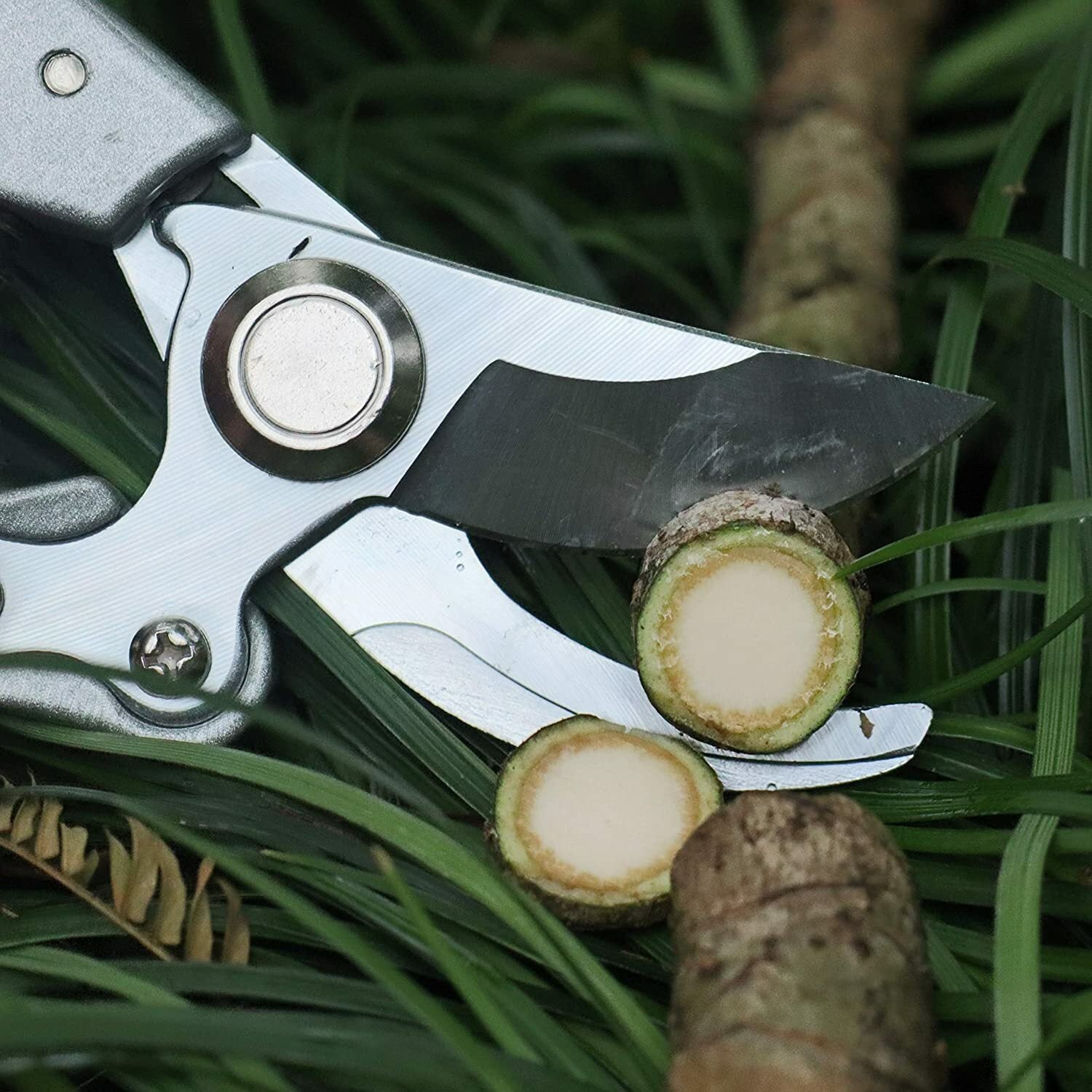 3PCS Pruning Shears 